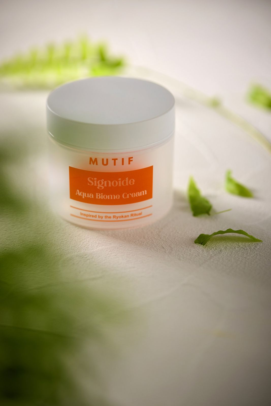 MUTIPLABS · 크림 — 제품 주변에 고사리 잎을 흩뿌린 클로즈업 컷