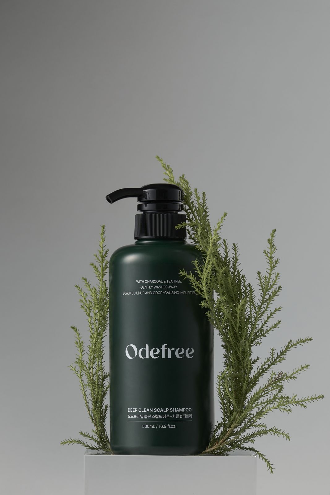 ODEFREE · 샴푸 — 받침대 위 편백나뭇가지와 함께 놓은 연출컷