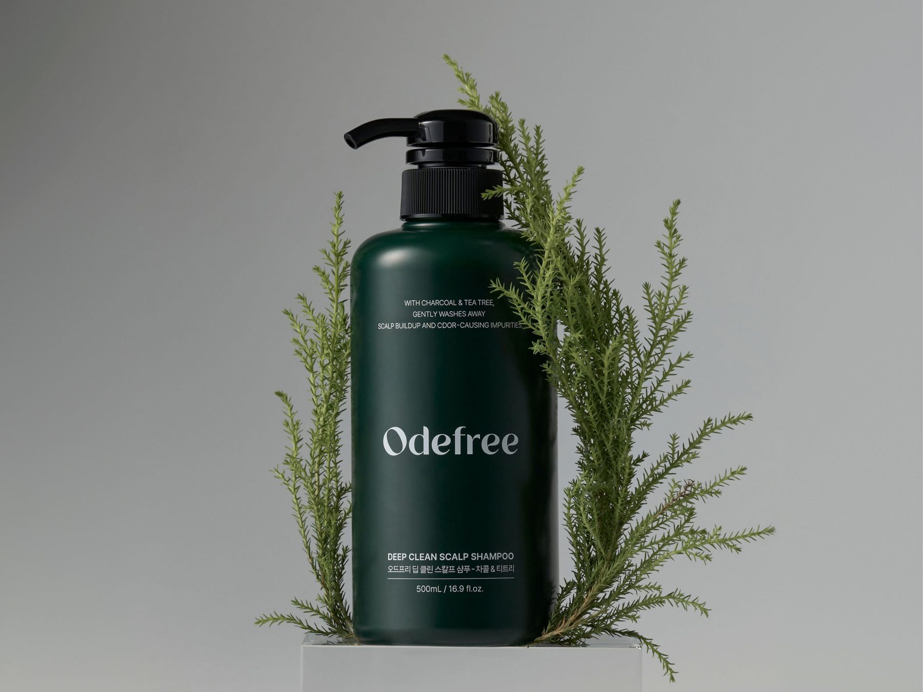 ODEFREE 샴푸 패키지 디자인
