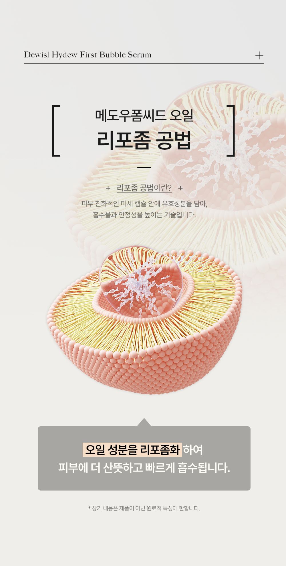 DEWYSLE 상세페이지 7
