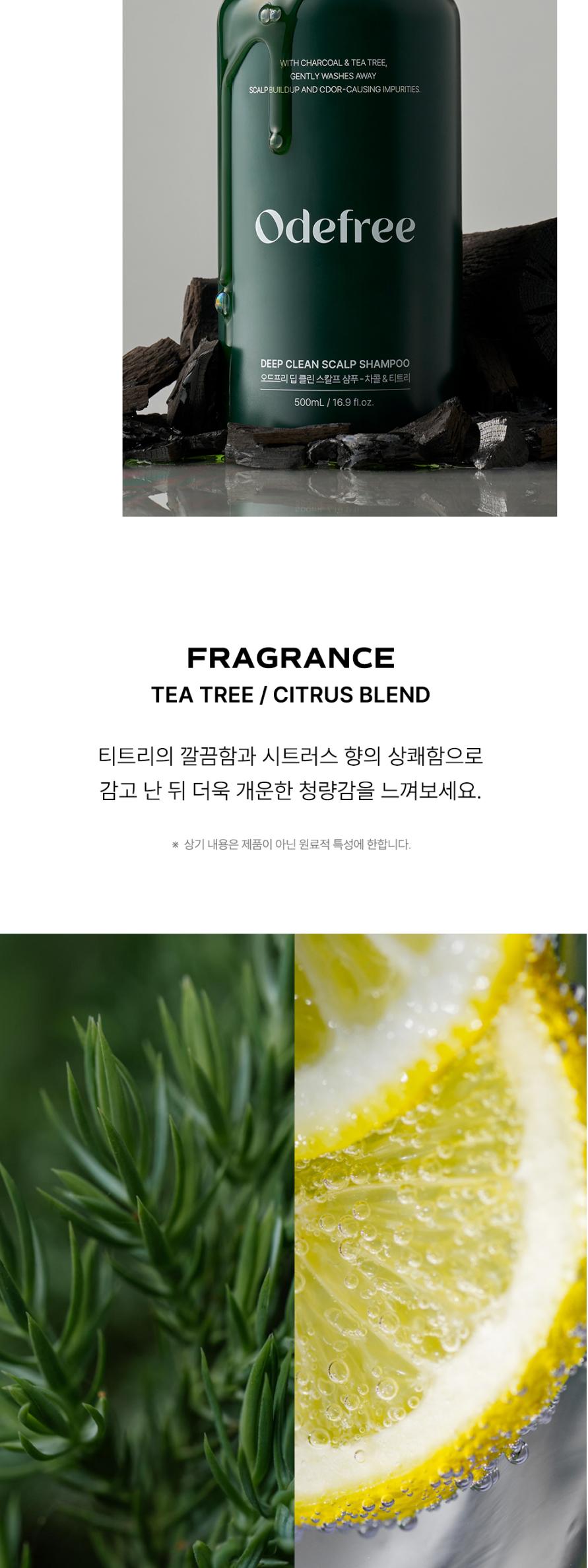 오드프리 딥클린 스칼프 샴푸 상세페이지