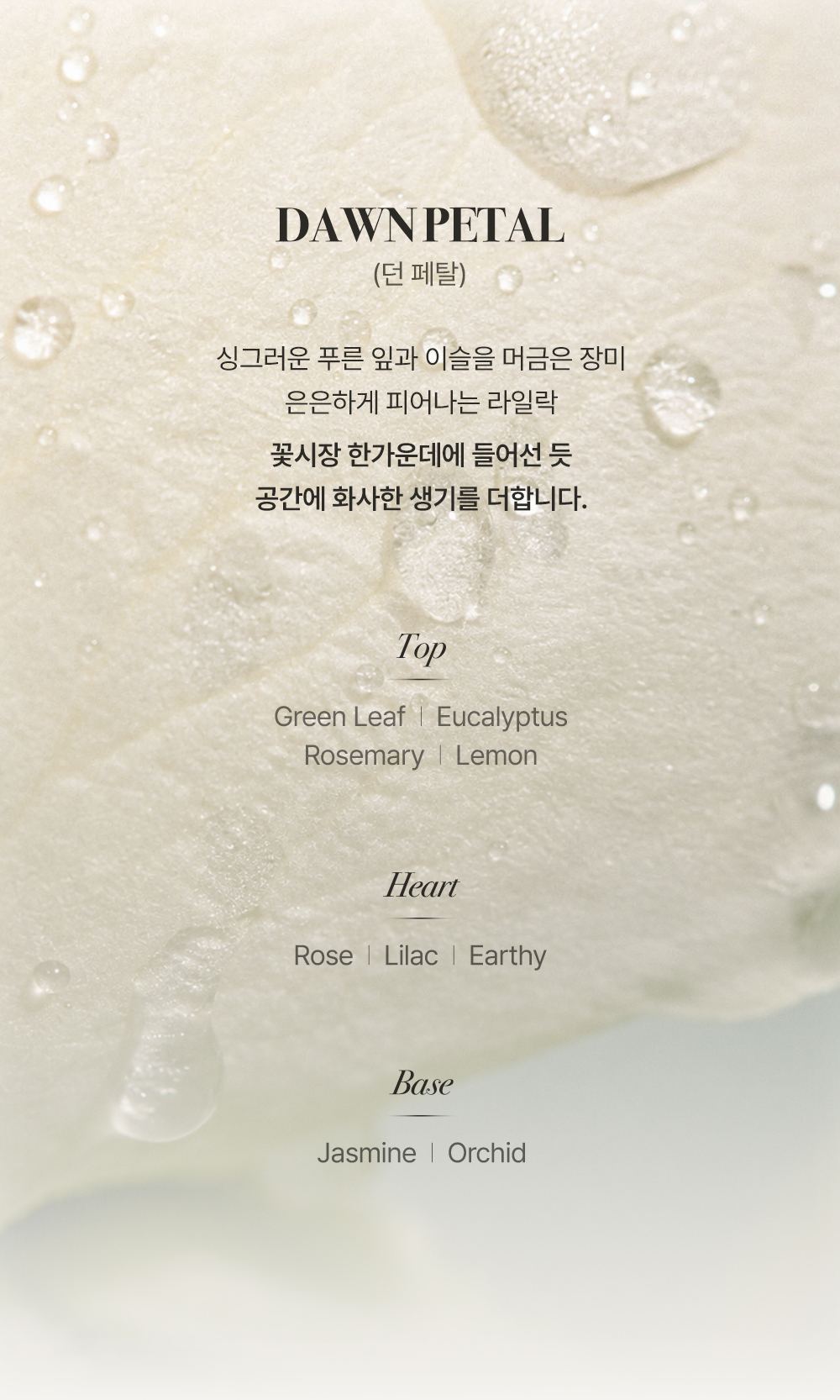 OORE 상세페이지 15
