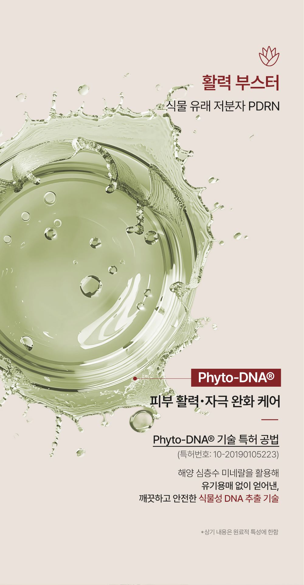 QUEEN'S RECIPE 상세페이지 11