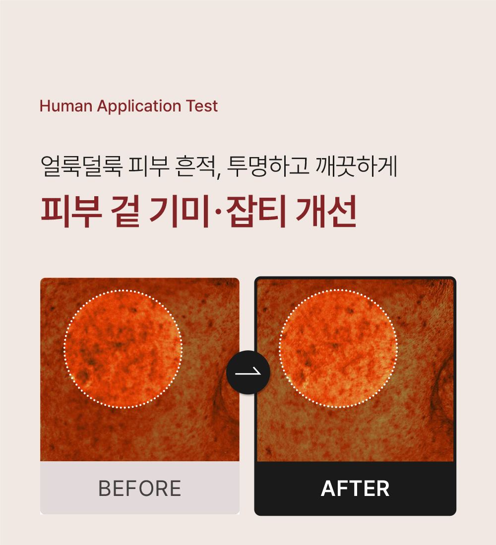 QUEEN'S RECIPE 상세페이지 24