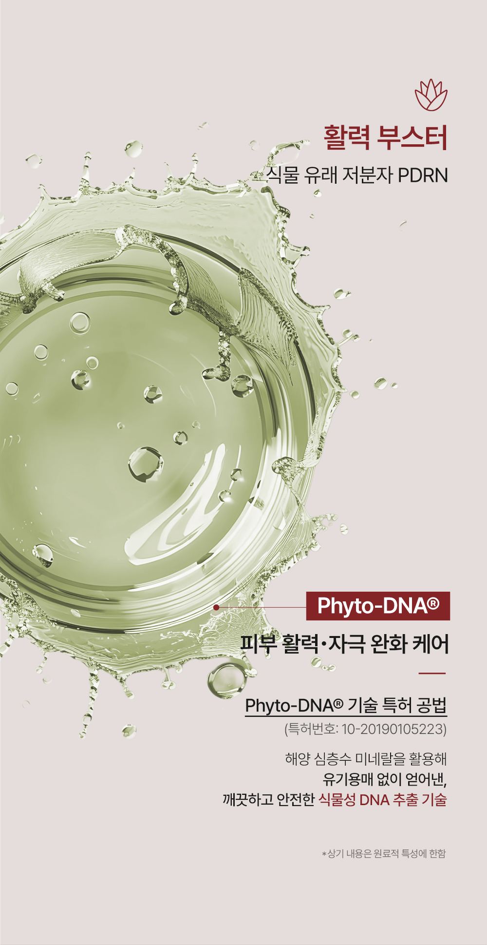 QUEEN'S RECIPE 상세페이지 31